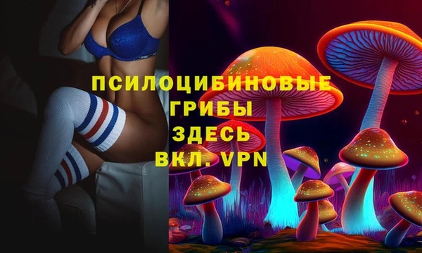 mdma Дмитриев