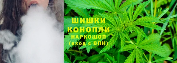 mdpv Пересвет