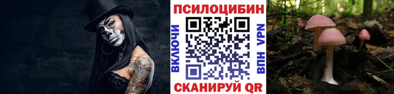 Псилоцибиновые грибы Psilocybe  что такое   Белая Холуница 