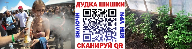 продажа наркотиков  Белая Холуница  Конопля AK-47 